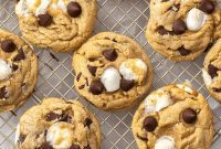 Pillowy Chocolate Chip Dreams