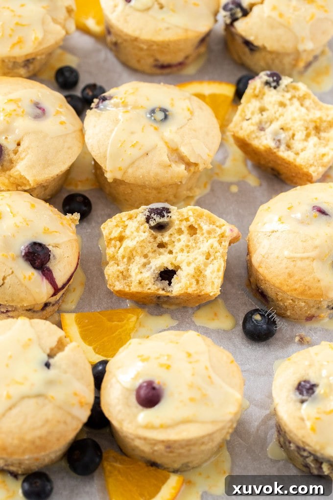 Beautifully arranged muffins on a baking tray, surrounded by fresh blueberries and orange slices, highlighting their vibrant appeal