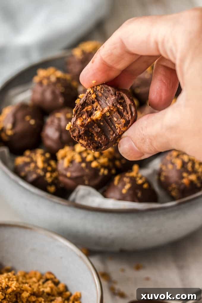 A Hazelnut Praline Chocolate Truffle with a bite taken out, revealing the creamy chocolate ganache speckled with crunchy praline pieces inside.