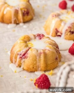 A beautifully presented Lemon Raspberry Mini Bundt Cake, ready to be enjoyed.