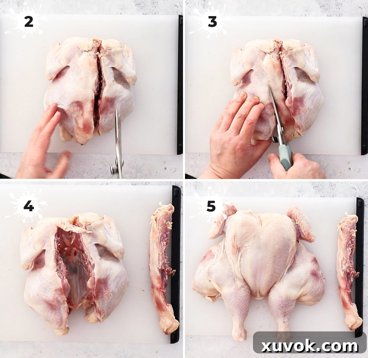 A four-panel collage illustrating the process of butterflying a whole chicken, showing cuts along the backbone and flattening the bird.