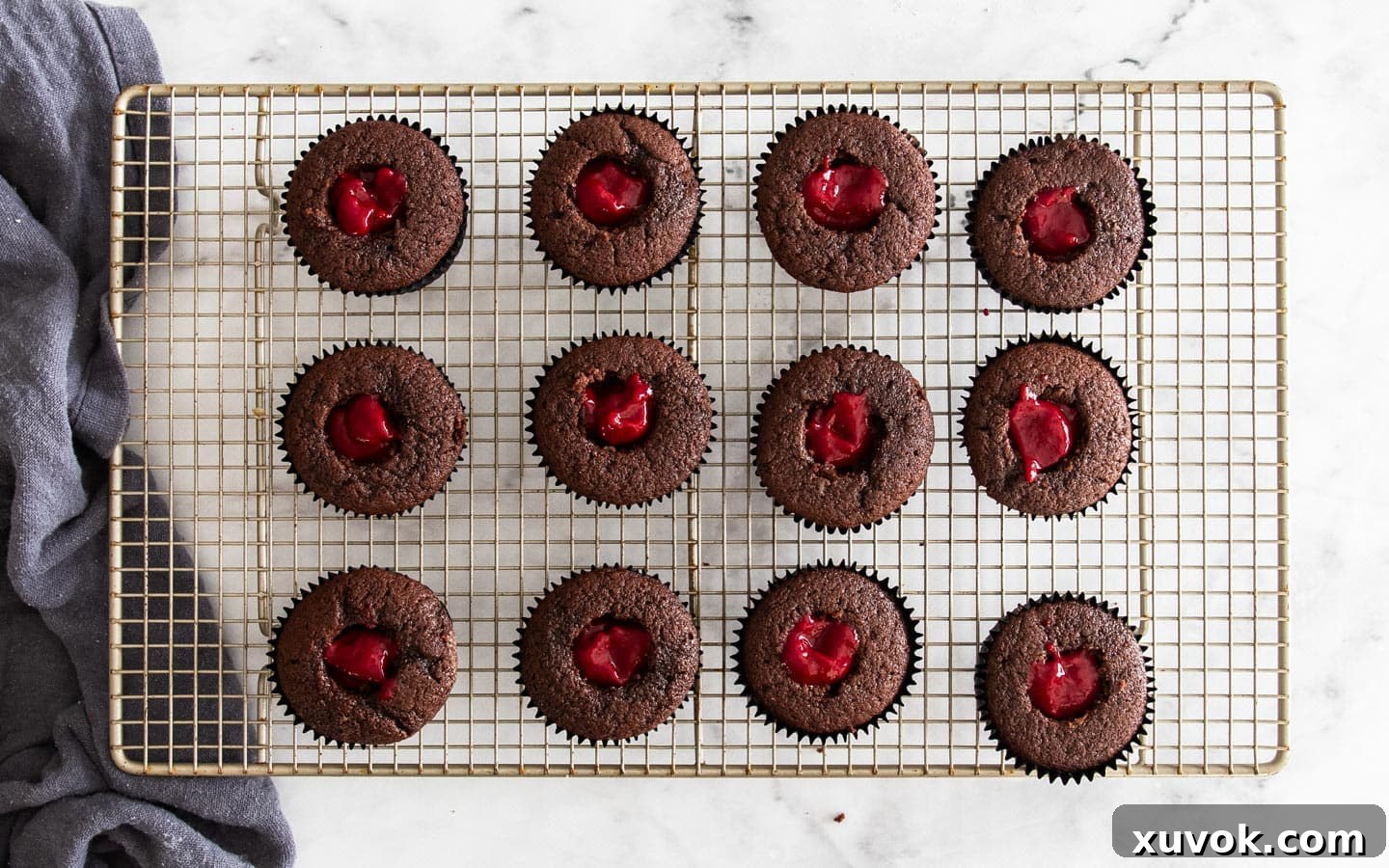 12 chocolate cupcakes with their centers filled with raspberry puree.