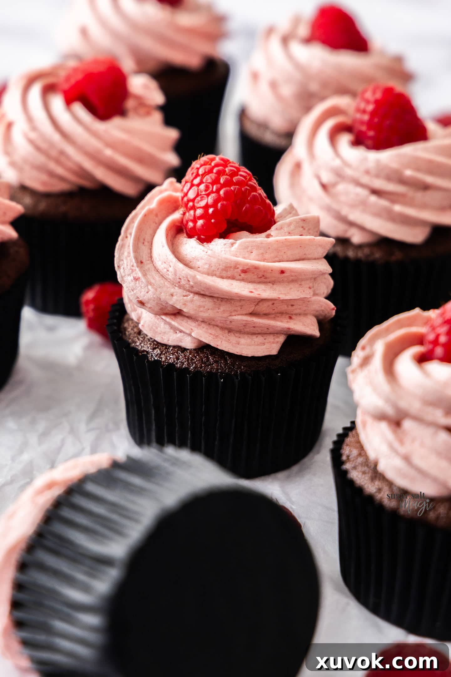 A beautifully frosted chocolate raspberry cupcake among a batch.