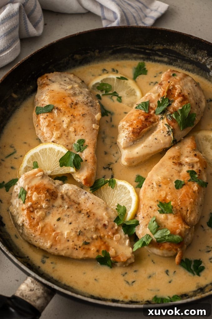 A pan with 4 cooked chicken breasts in a creamy sauce, garnished with fresh thyme.