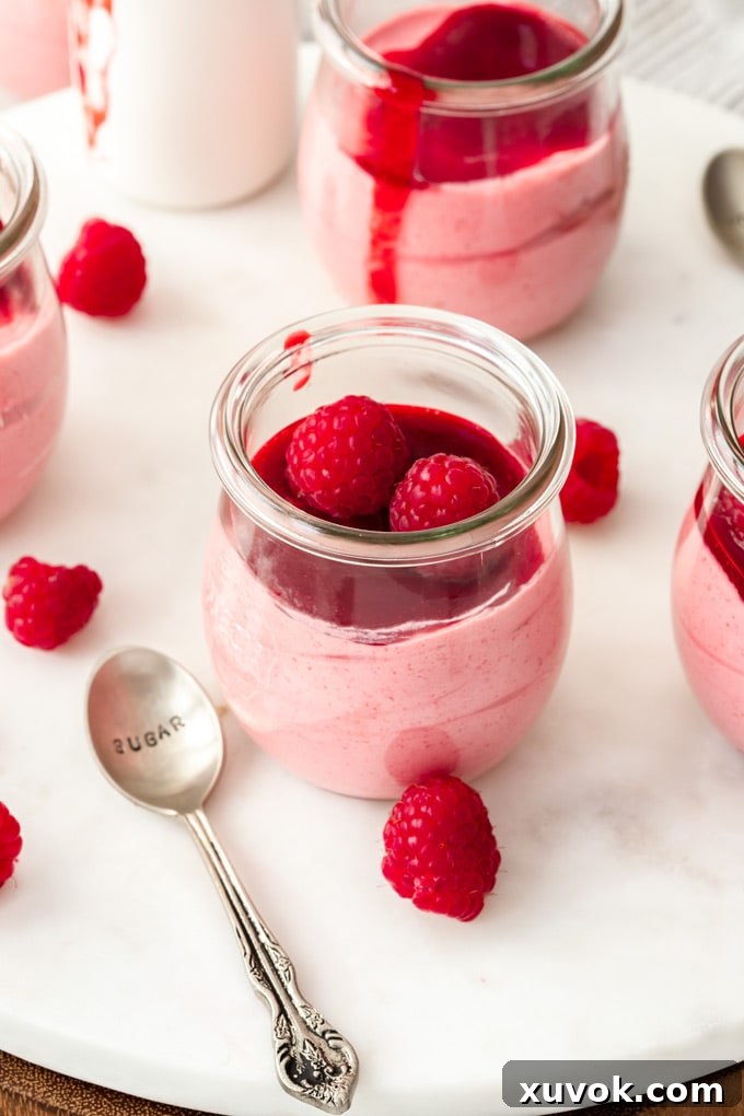 A small glass jar filled with pink raspberry mousse and fresh raspberries