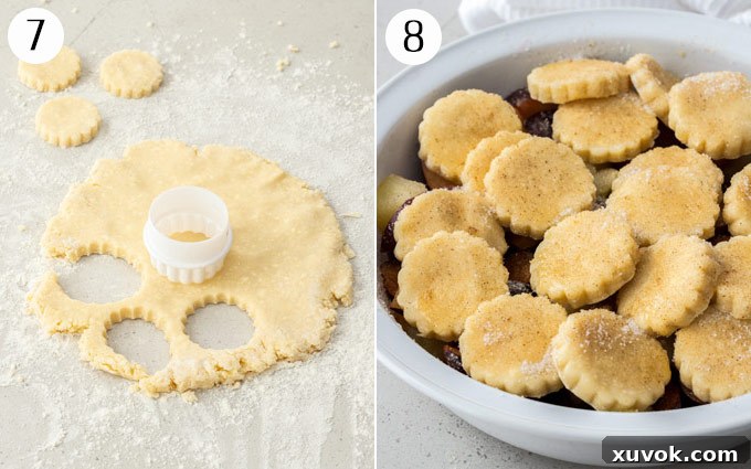 Two photos demonstrating the final assembly of cobbler: rolled out dough with circles cut out, and these dough circles layered over the fruit filling in a pie dish, ready for baking.