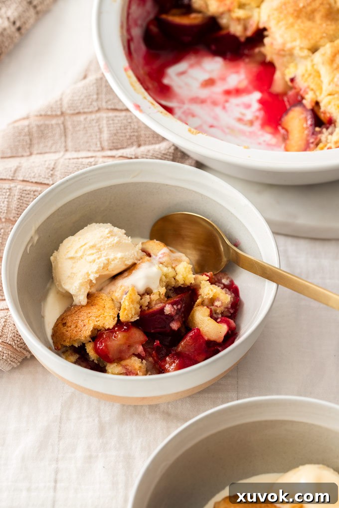 A serving bowl filled with a warm apple and plum cobbler, topped with a scoop of melting vanilla ice cream, creating a delicious contrast.