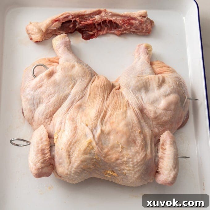 Overhead: a whole chicken that has been spatchcocked and is ready to grill. The flattened chicken sits on a baking sheet, showcasing its even form and readiness for seasoning.