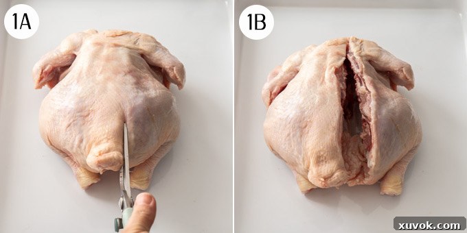 Overhead process shot: using sharp kitchen shears to carefully cut along one side of the backbone of a whole chicken, starting from the tail end.
