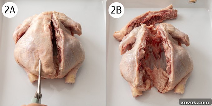 Overhead process shot: using kitchen shears to complete the removal of the chicken's backbone by cutting along the second side.
