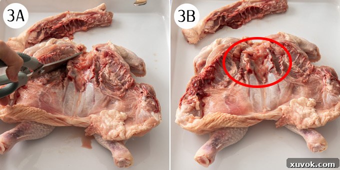 Overhead process shot: a whole chicken, with its backbone removed, is pressed open to reveal the collarbone, which is being cut to aid flattening.