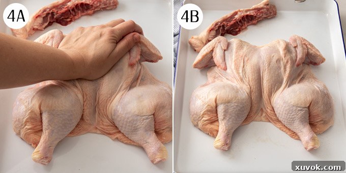 Overhead process shot: a butterflied chicken, now fully flattened, resting breast-side up on a white enamel tin, ready for seasoning.