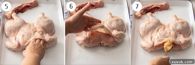 Overhead process shot: showing how to gently stuff a flavorful compound butter under the loosened skin of a whole spatchcocked chicken.