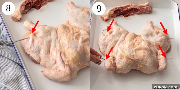 Overhead process shot: a whole butterflied chicken with two long metal skewers pushed through it, securing its flat shape and making it ready for grilling.