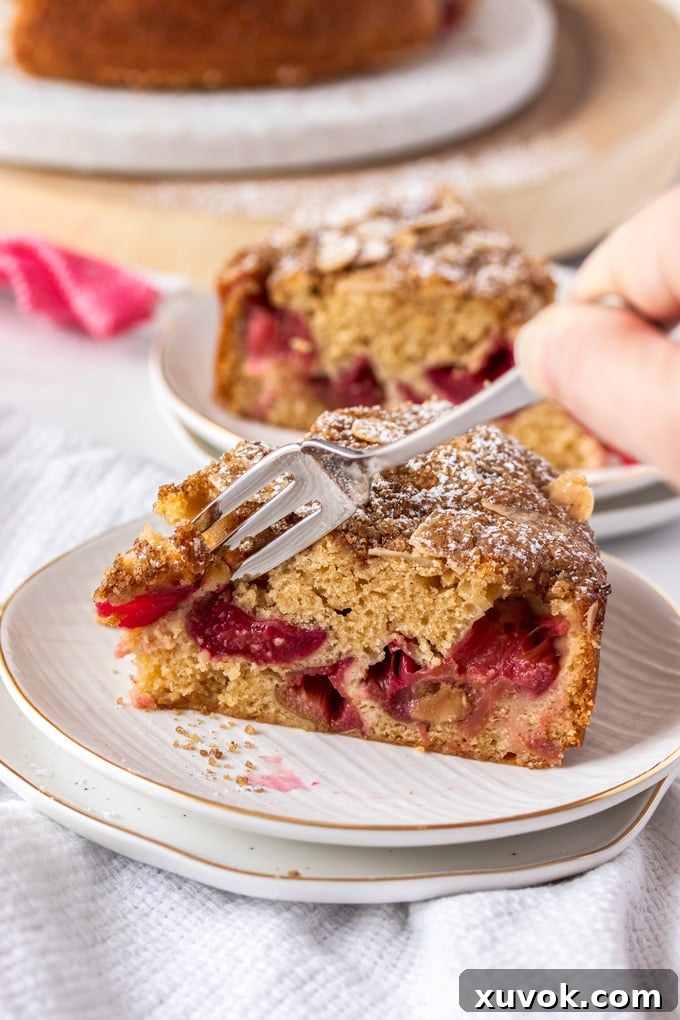 A fork gently delves into a slice of sour cream rhubarb coffee cake on a pristine white plate with a delicate gold rim, highlighting the cake's tender texture and the inviting streusel topping.