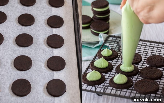 Two photos showcasing the baking and filling process of the chocolate peppermint cookies. The first displays raw, cut-out cookies neatly arranged on a baking tray before going into the oven. The second image shows baked dark chocolate cookies being piped with a creamy green mint buttercream filling.