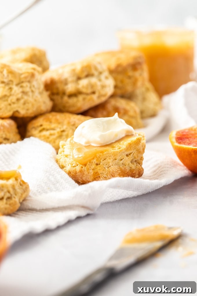 Half a Blood Orange Scone topped with orange curd and cream sitting on a white tea towel. A pile of scones sits behind it, ready to be enjoyed.
