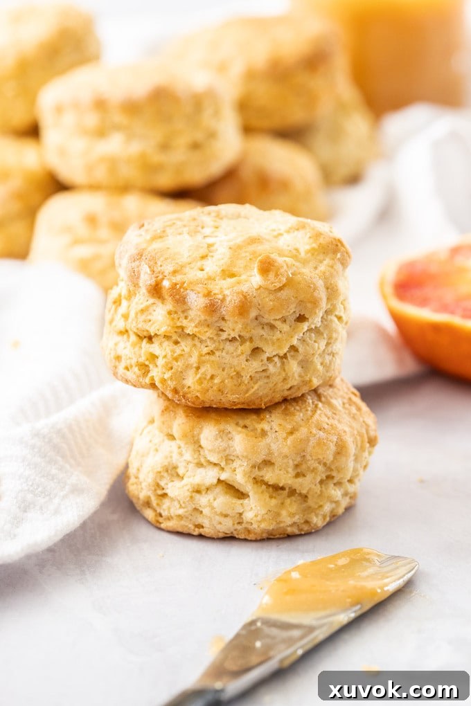 Two Blood Orange Scones, one stacked on top of the other, with a pile of freshly baked scones in the background, showcasing their perfect rise.