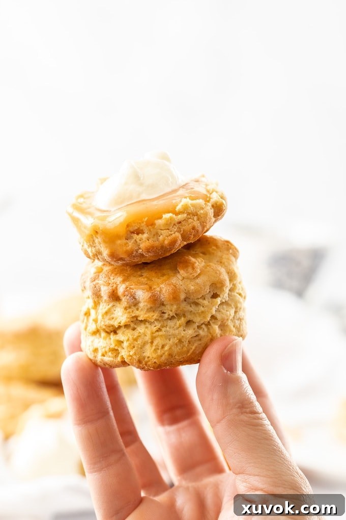 Two Blood Orange Scones being held up by a hand, showcasing their perfect texture and inviting golden hue.