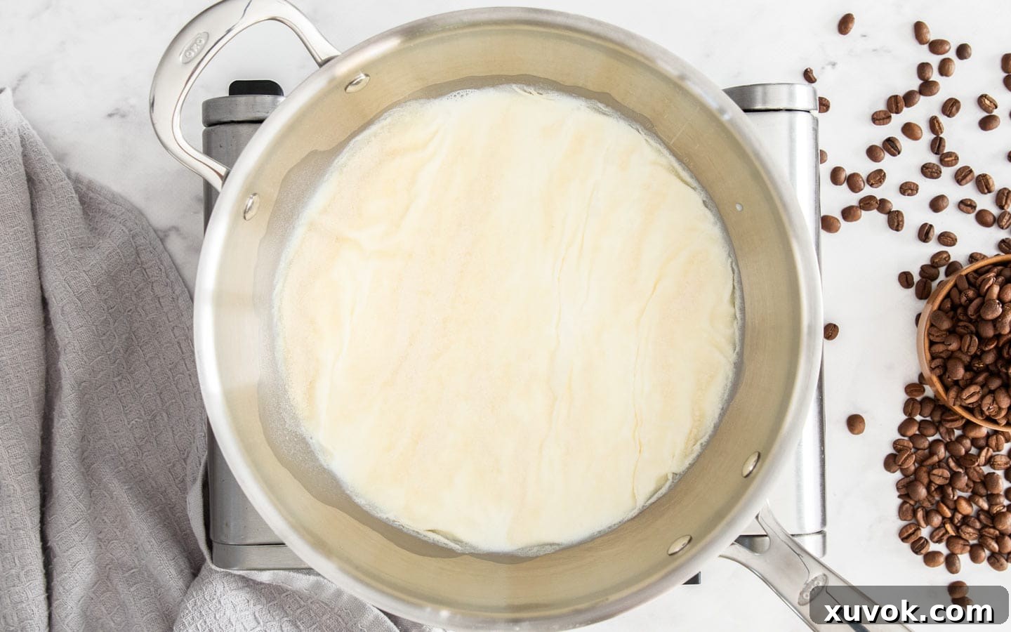 The gelatin sprinkled evenly over the surface of cold milk in a saucepan, beginning to bloom.