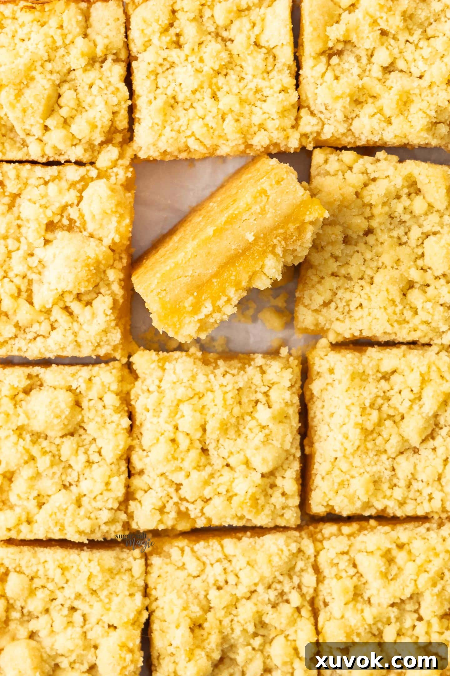 Top down view of 12 lemon curd bars with one turned on it's side to show the filling.