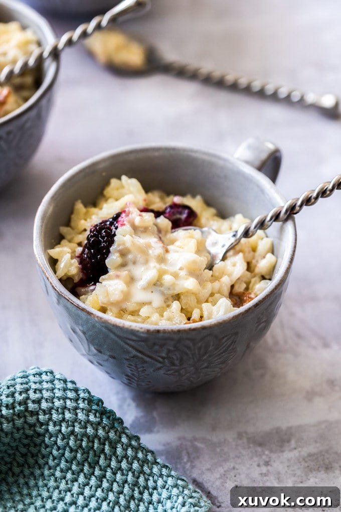 A grey bowl filled with rice pudding and blackberry compote.