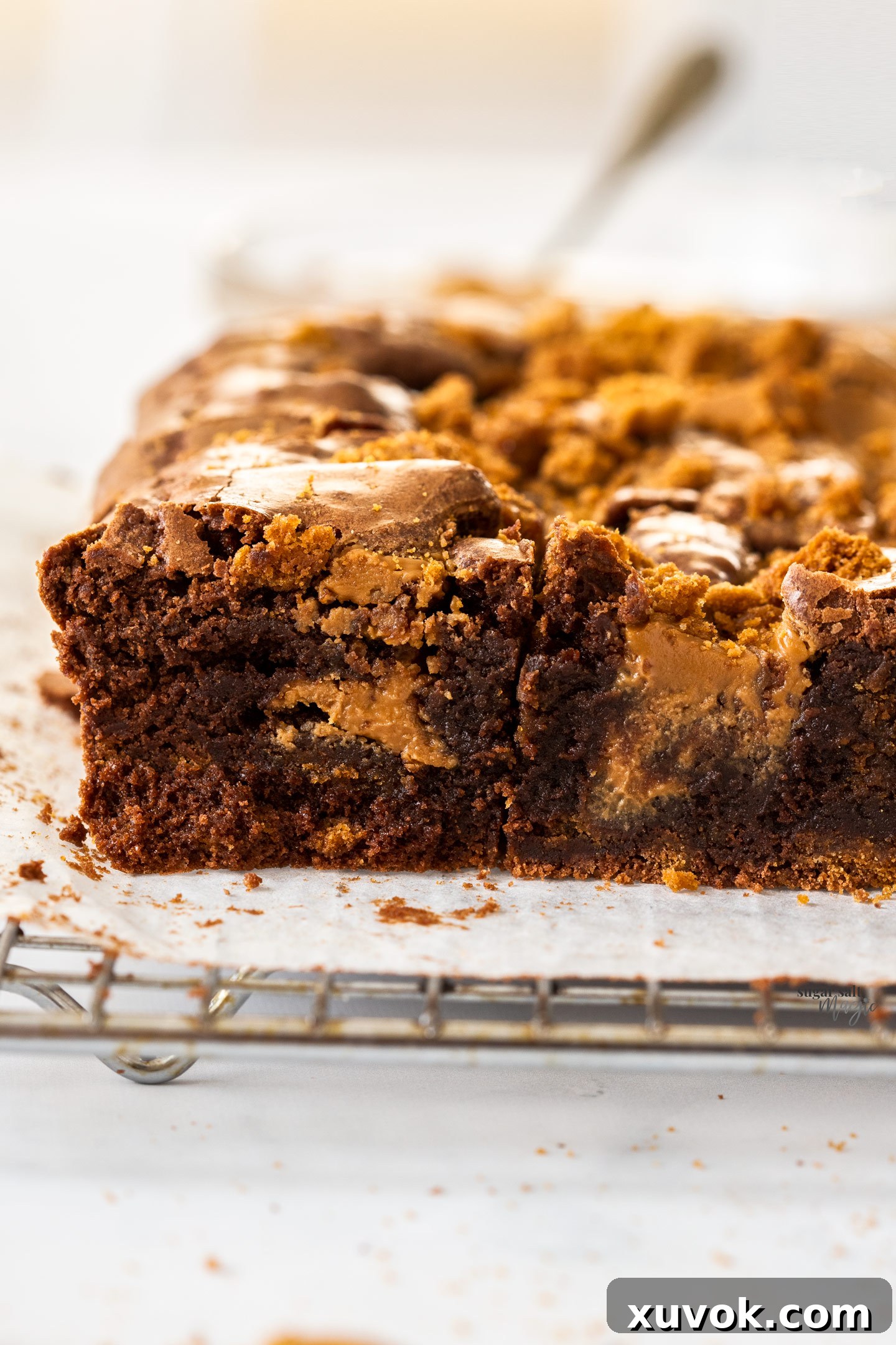 Close up of the inside of the brownies showing chunks of Biscoff, highlighting the fudgy texture.