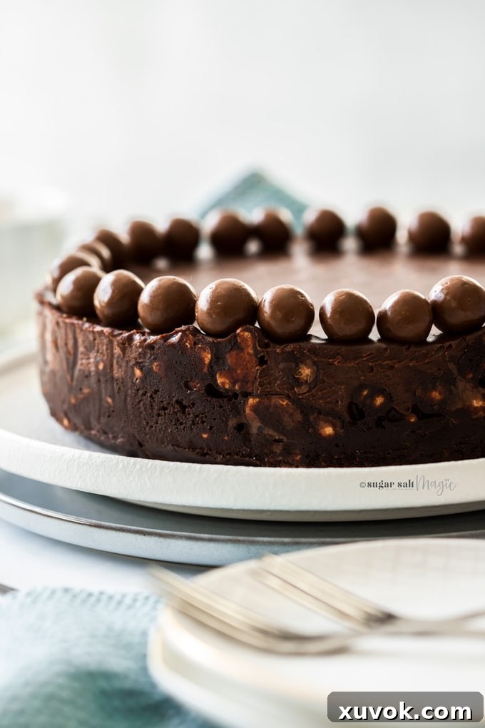 Close-up view of the side profile of a no-bake chocolate fridge cake, revealing its layered texture and the maltesers embedded within, topped with a smooth chocolate ganache.