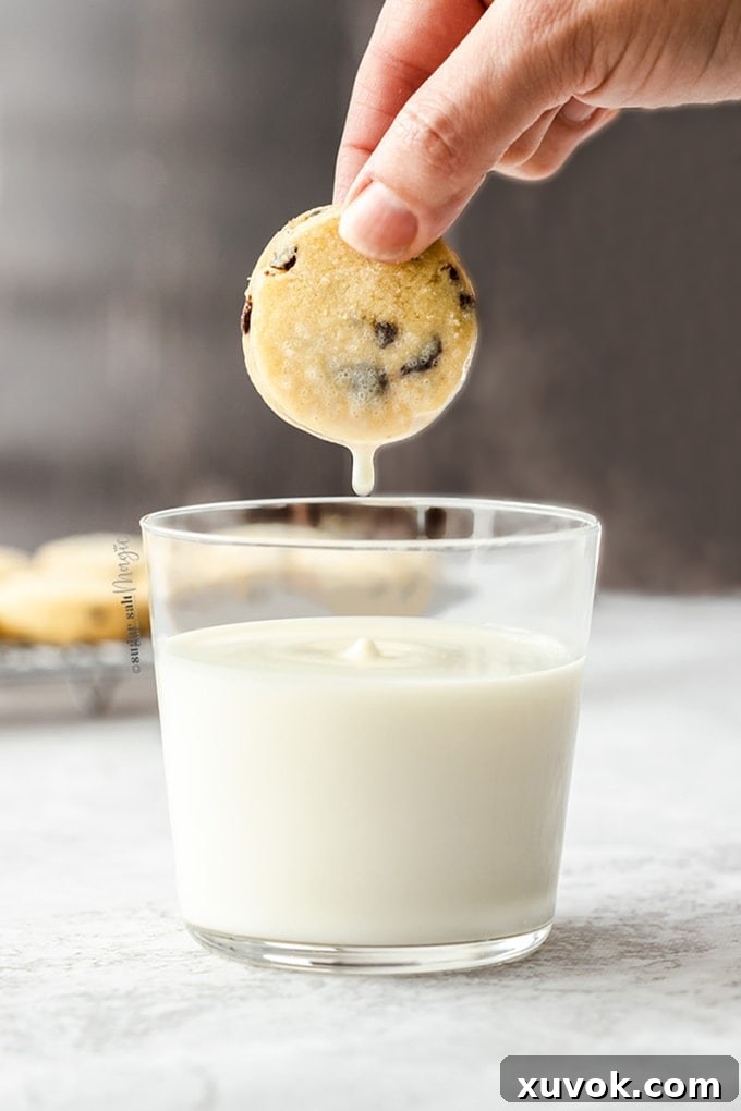 A glass of milk with a chocolate chip shortbread cookie being held above it and a drip of milk falling, showcasing its inviting texture.