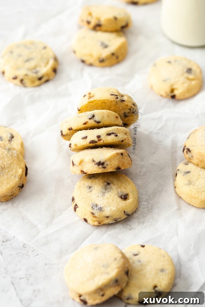 A neat row of chocolate chip shortbread cookies cooling on a sheet of baking paper, showing their uniform shape and even bake.