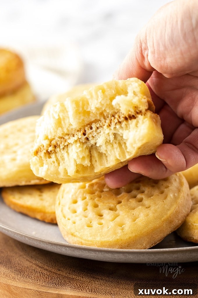 A homemade crumpet torn in half, revealing its distinctive chewy, porous interior with many small holes.