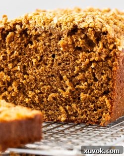 Extreme closeup of the inside of ginger loaf cake.