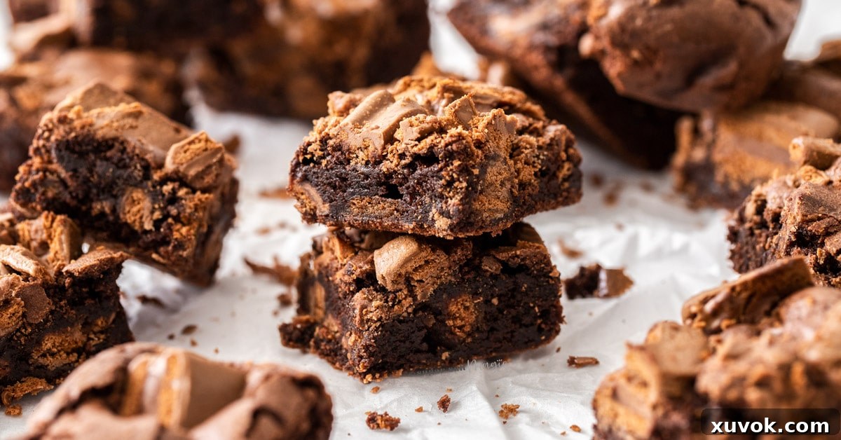 A beautifully composed shot featuring a stack of two Tim Tam brownies, with more delectable brownies scattered around, highlighting their rich chocolate color and tempting texture.