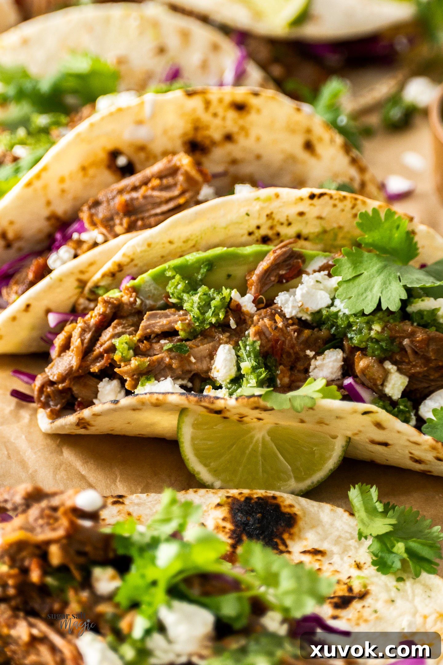 Close up of a beef short rib taco with coriander on top.