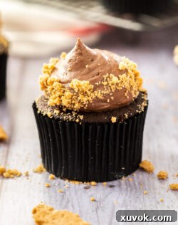 Closeup of a single chocolate cheesecake cupcake, highlighting its beautiful frosting and decadent appearance.