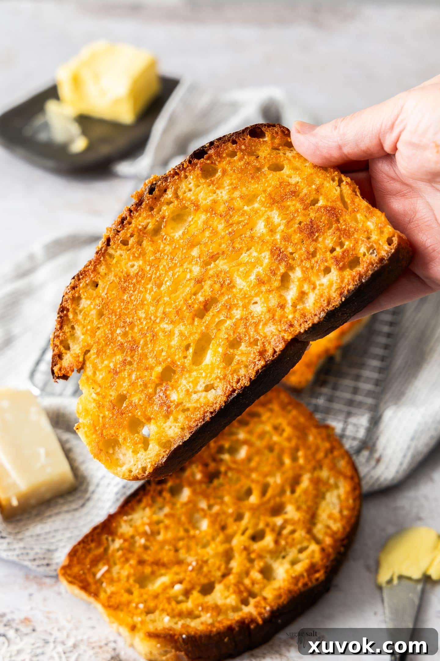 A hand holding a slice of golden brown sizzler cheese toast, perfectly crispy and ready to eat.
