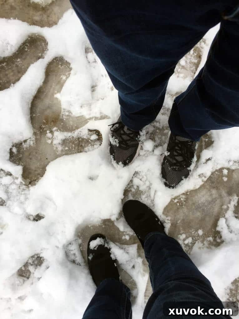 Fresh footprints in soft, white snow, suggesting a serene winter walk.