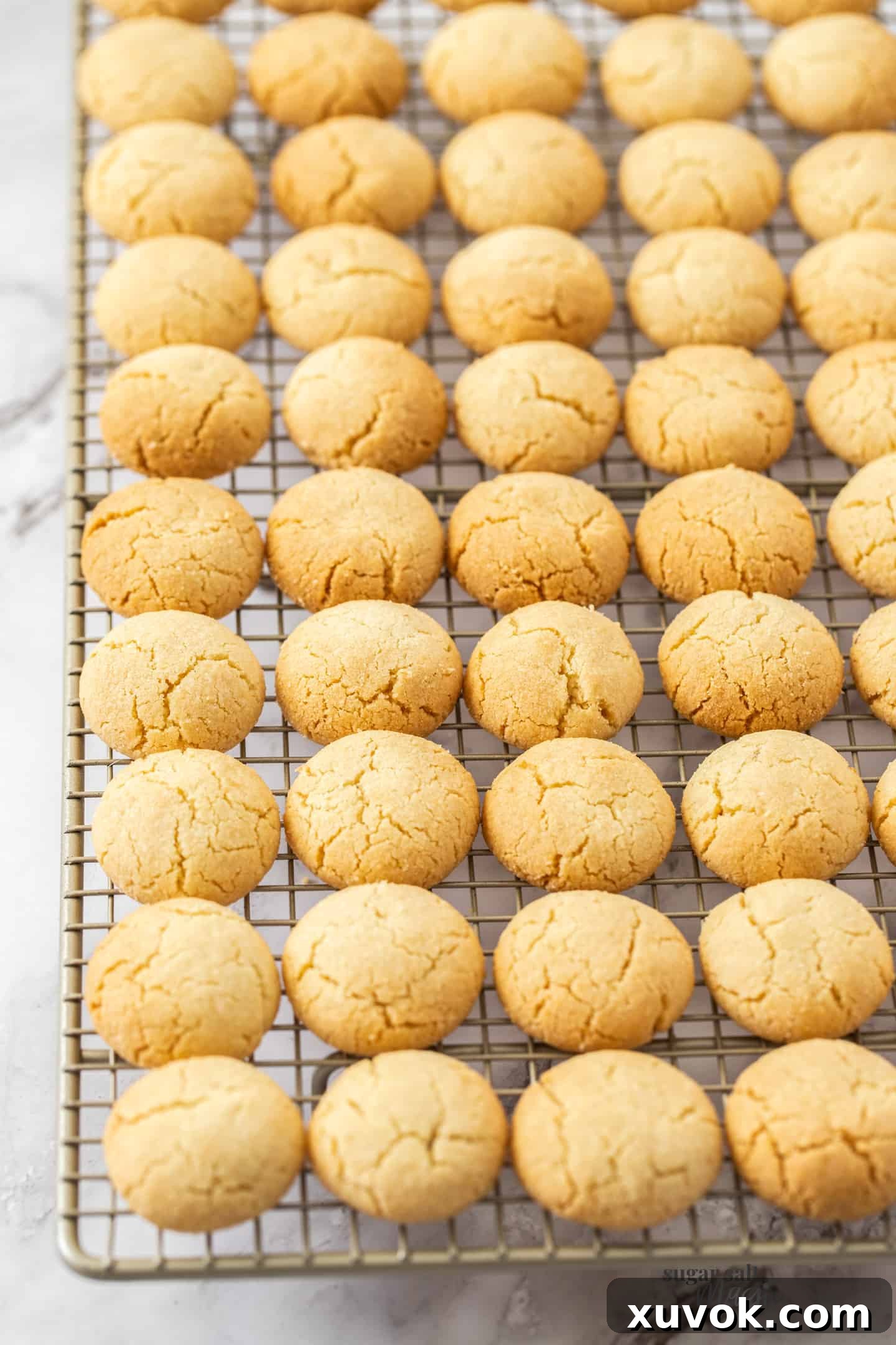 Small, perfectly rounded Baci Di Dama cookies neatly lined up on a cooling rack, showcasing their uniform shape and readiness for filling.