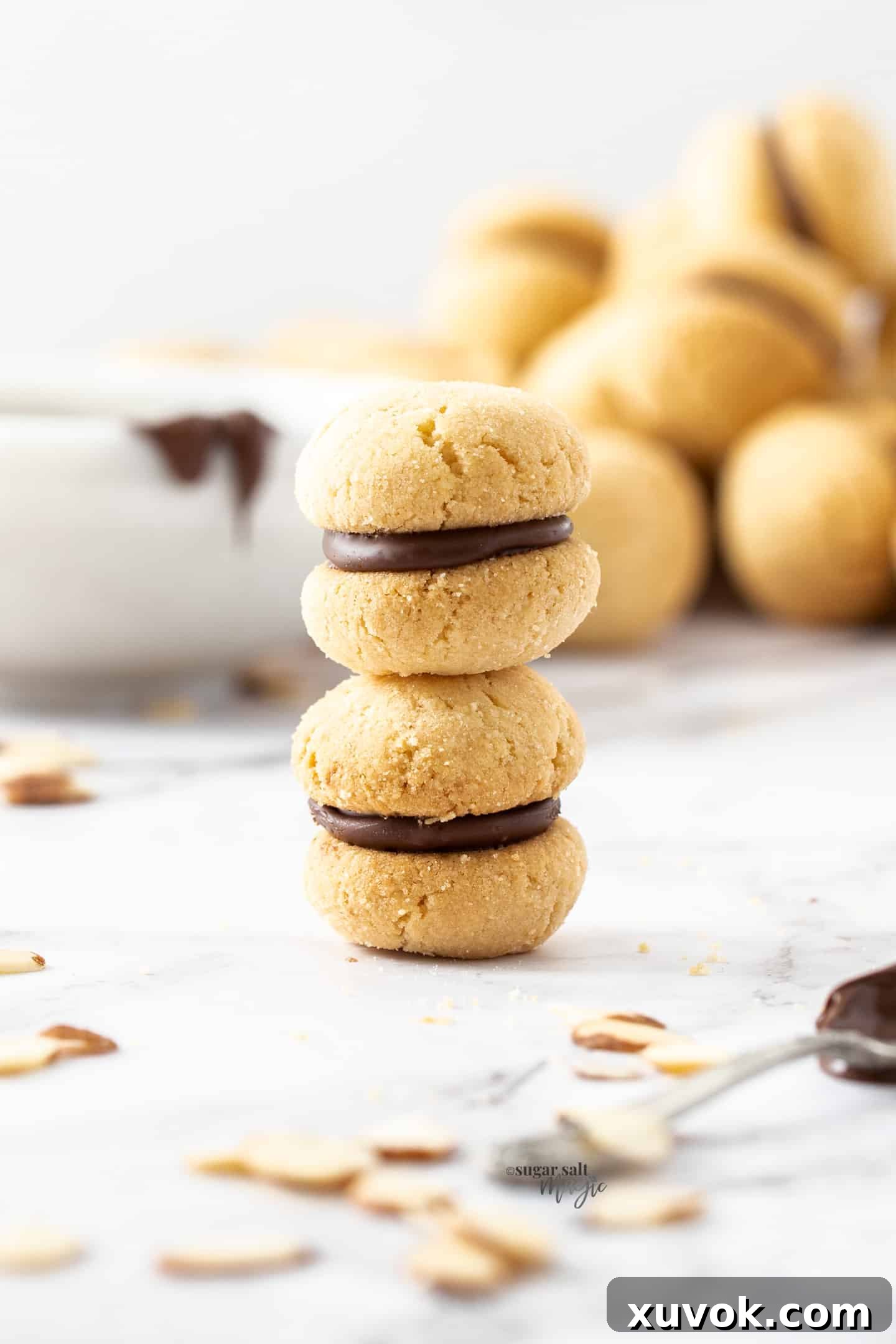Two Baci Di Dama cookies elegantly stacked one on top of the other, showcasing the chocolate filling and delicate shortbread.