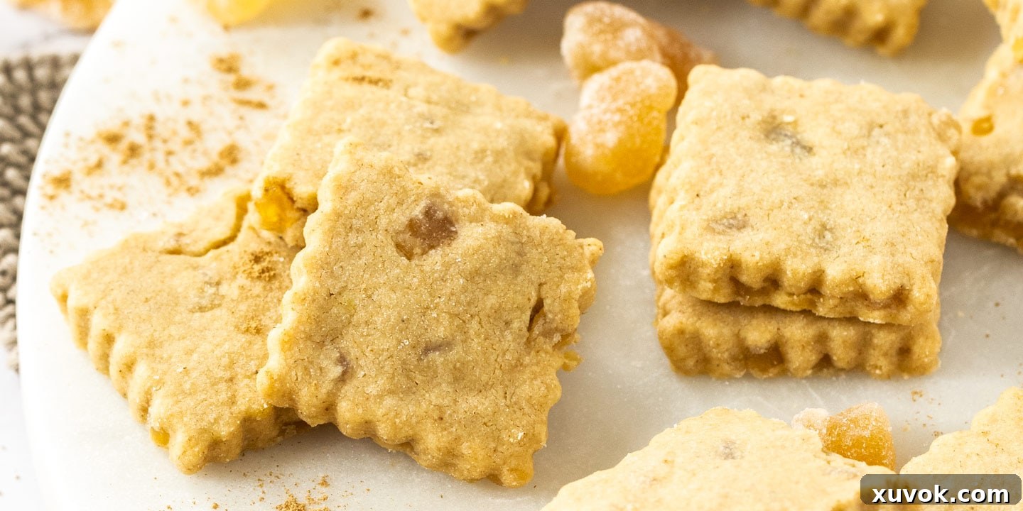 An overhead shot of ginger shortbread cookies, showcasing their golden color and specks of candied ginger.