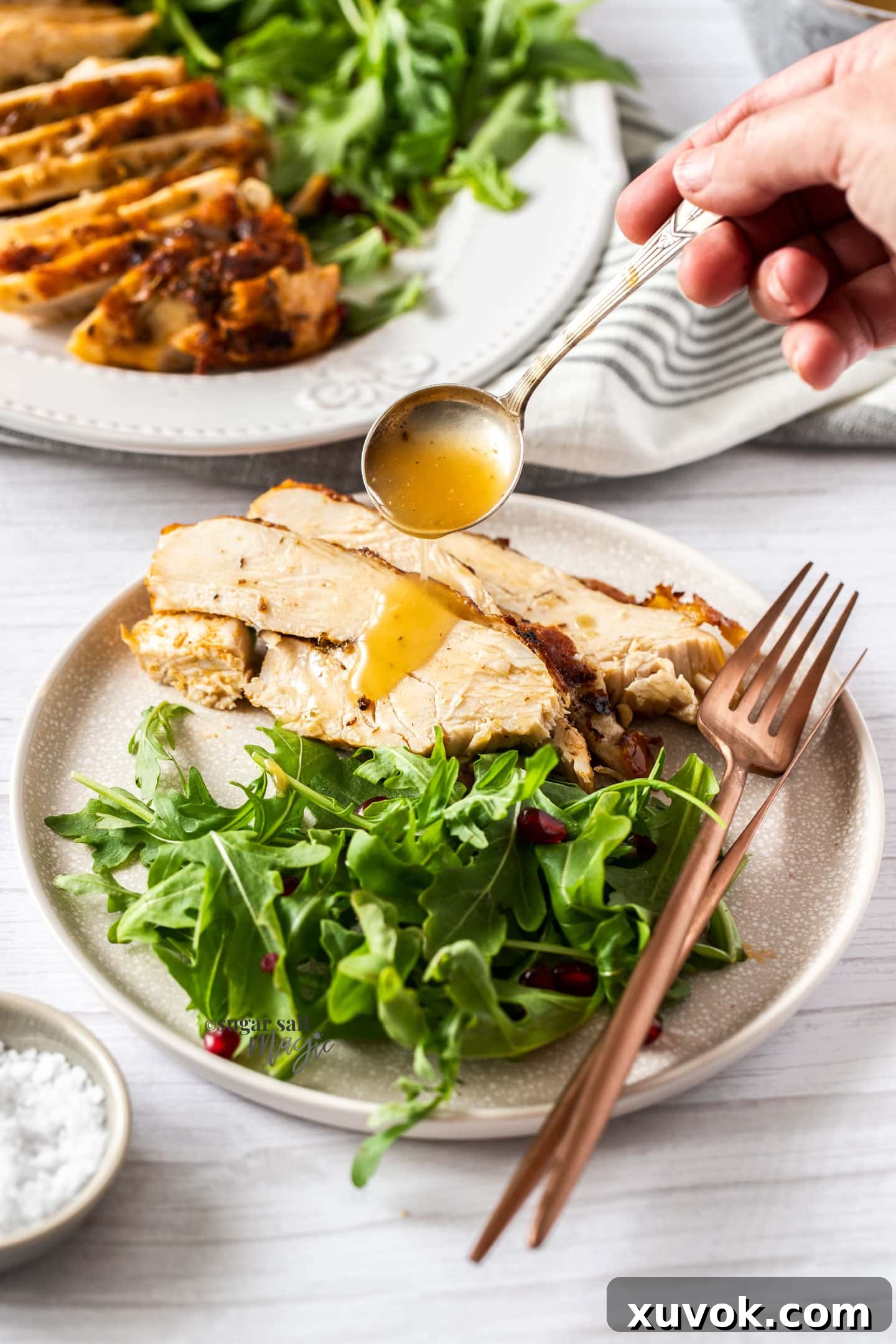 Tender slices of golden turkey breast arranged on a plate, with rich, homemade gravy being generously drizzled over them. A fresh side salad completes the elegant presentation.