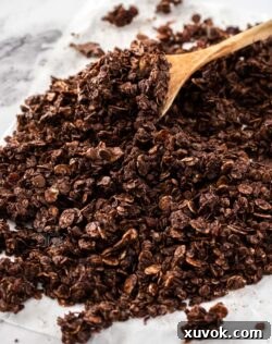Closeup of chocolate granola with a spoon in it.