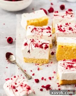 8 squares of marshmallow slice on a crumpled piece of white baking paper. freeze dried raspberries scattered around and a spoon covered in jam