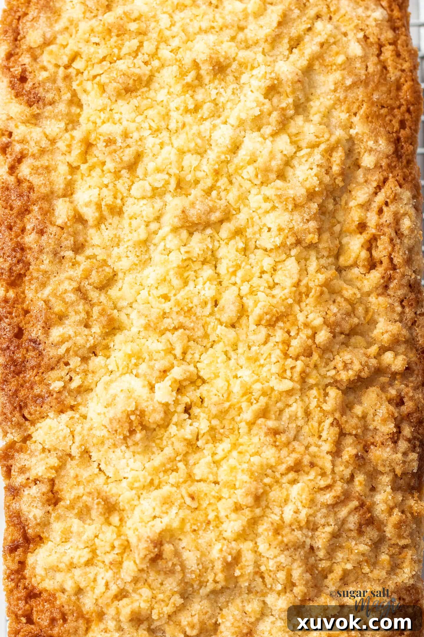 Extreme closeup showcasing the golden, crispy, and crunchy texture of the baked coconut crumble topping on a freshly baked cake.