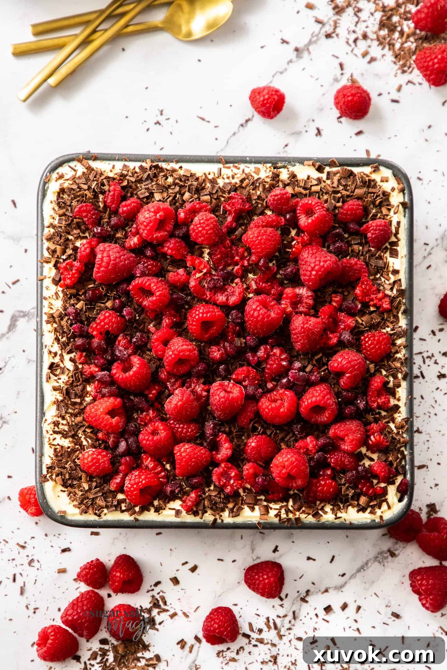 Top down view of a vibrant raspberry tiramisu generously topped with fresh raspberries, showcasing its creamy layers and fruity appeal.