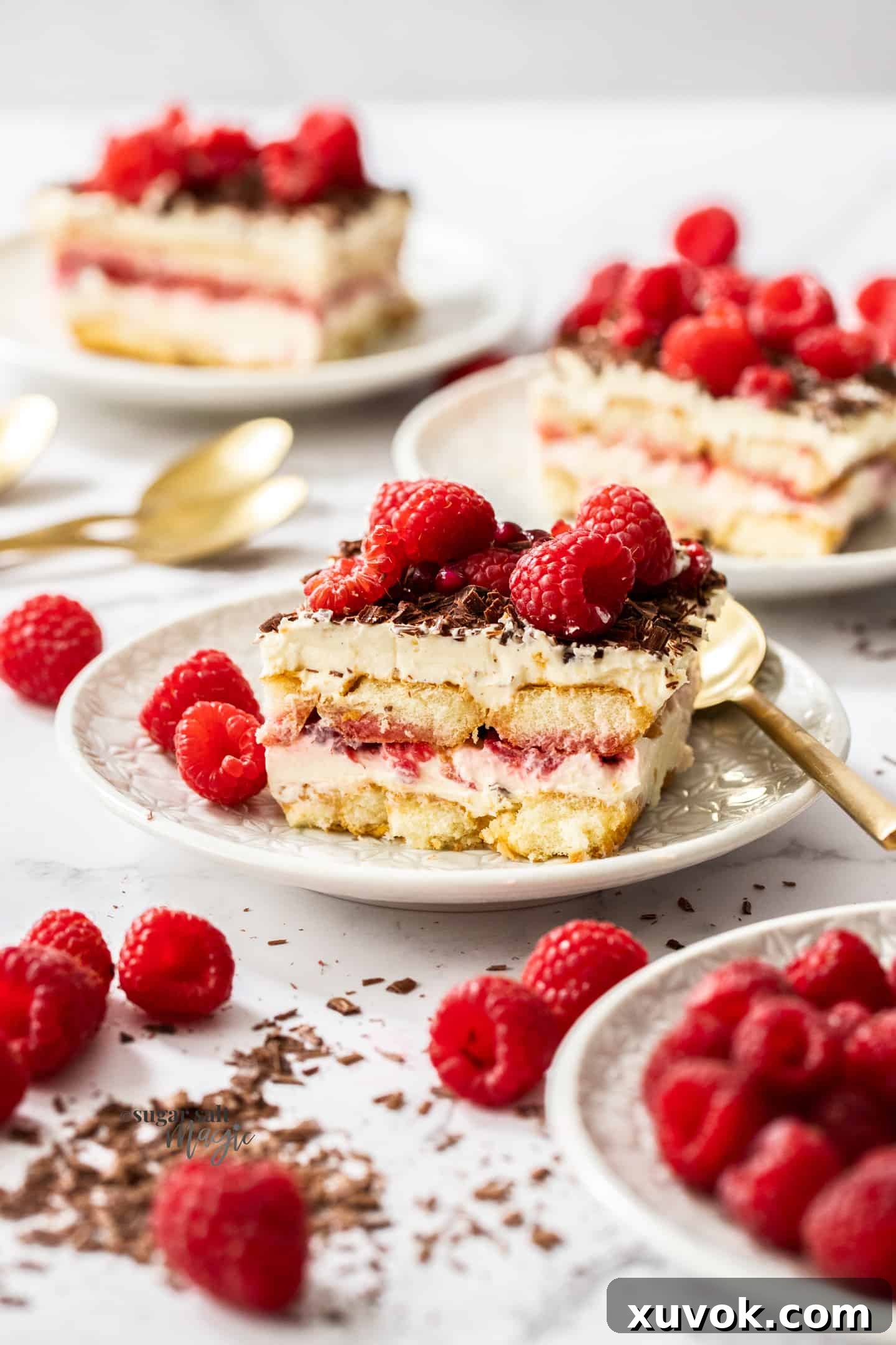 A perfectly portioned slice of raspberry tiramisu resting on a white plate, elegantly surrounded by a scattering of fresh raspberries, highlighting its inviting layers.