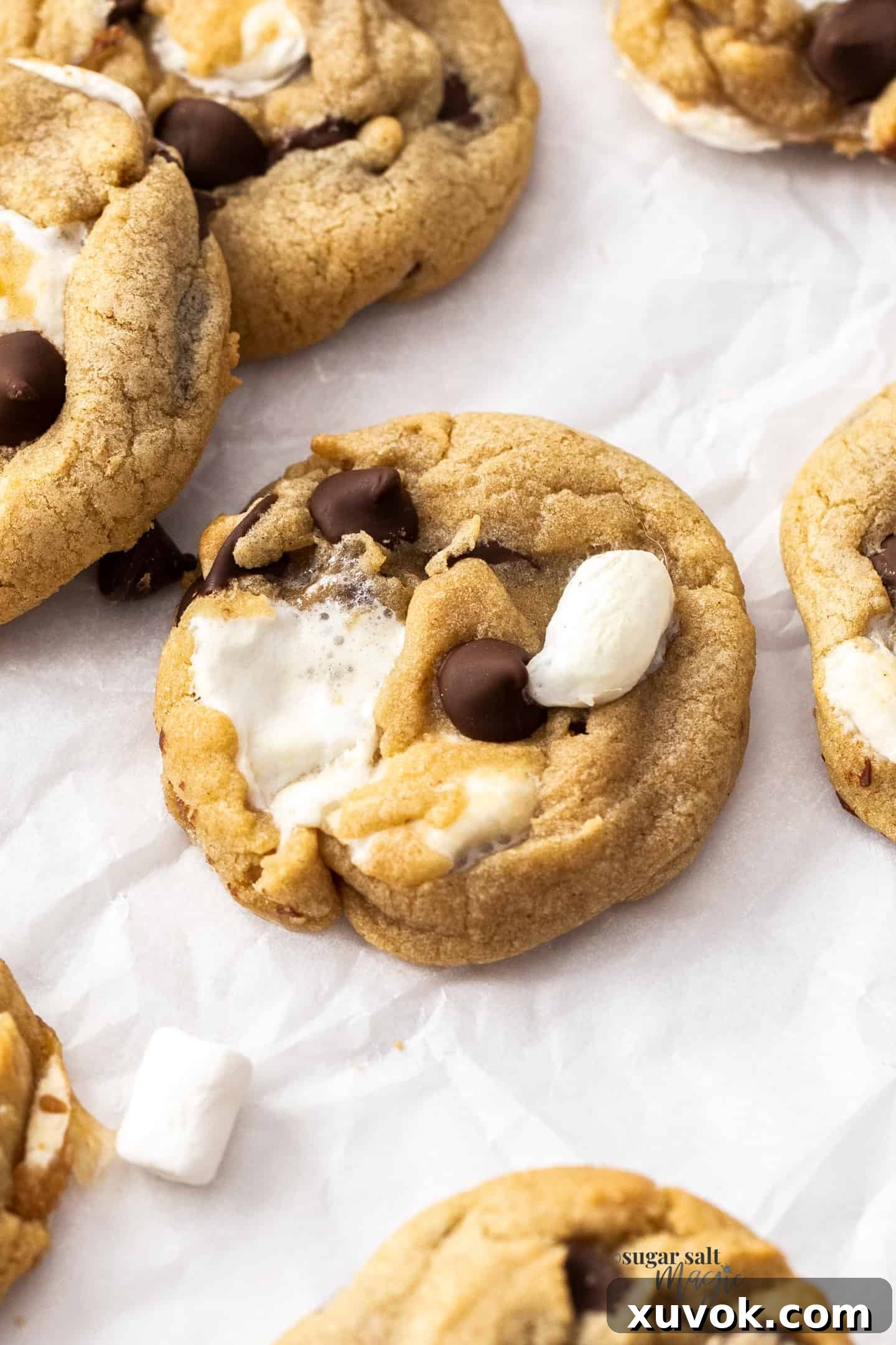 Closeup of a single marshmallow chocolate chip cookie with browned butter and gooey centers.