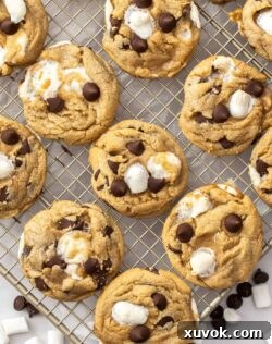 A batch of chocolate chip marshmallow cookies on a wire cooling rack.