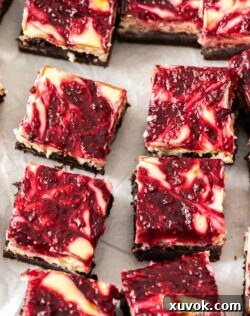 Top down view of raspberry topped brownies.
