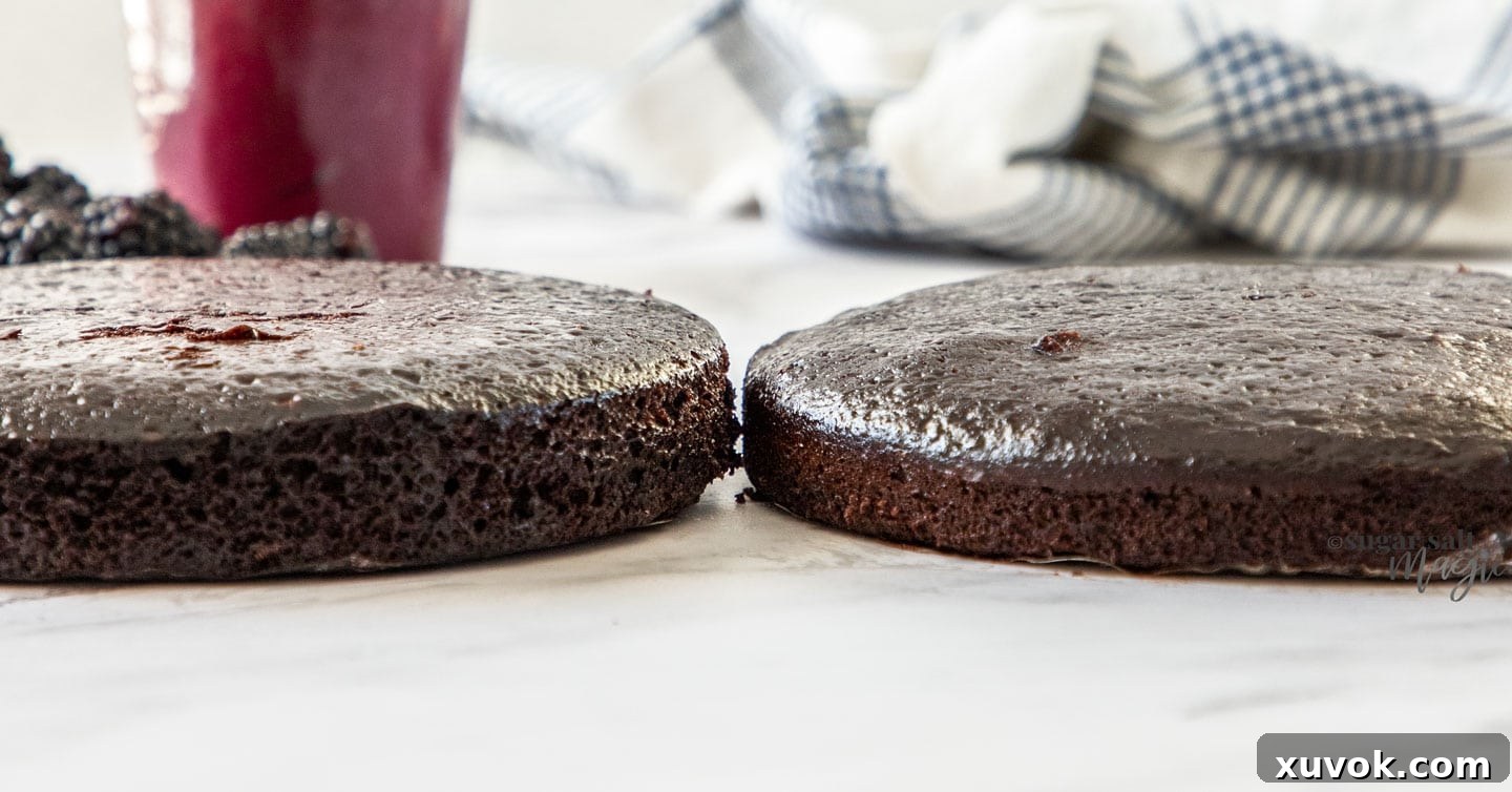 Two chocolate cakes are shown side-by-side, clearly illustrating the difference in height and shape, one perfectly level due to cake strips and the other domed.